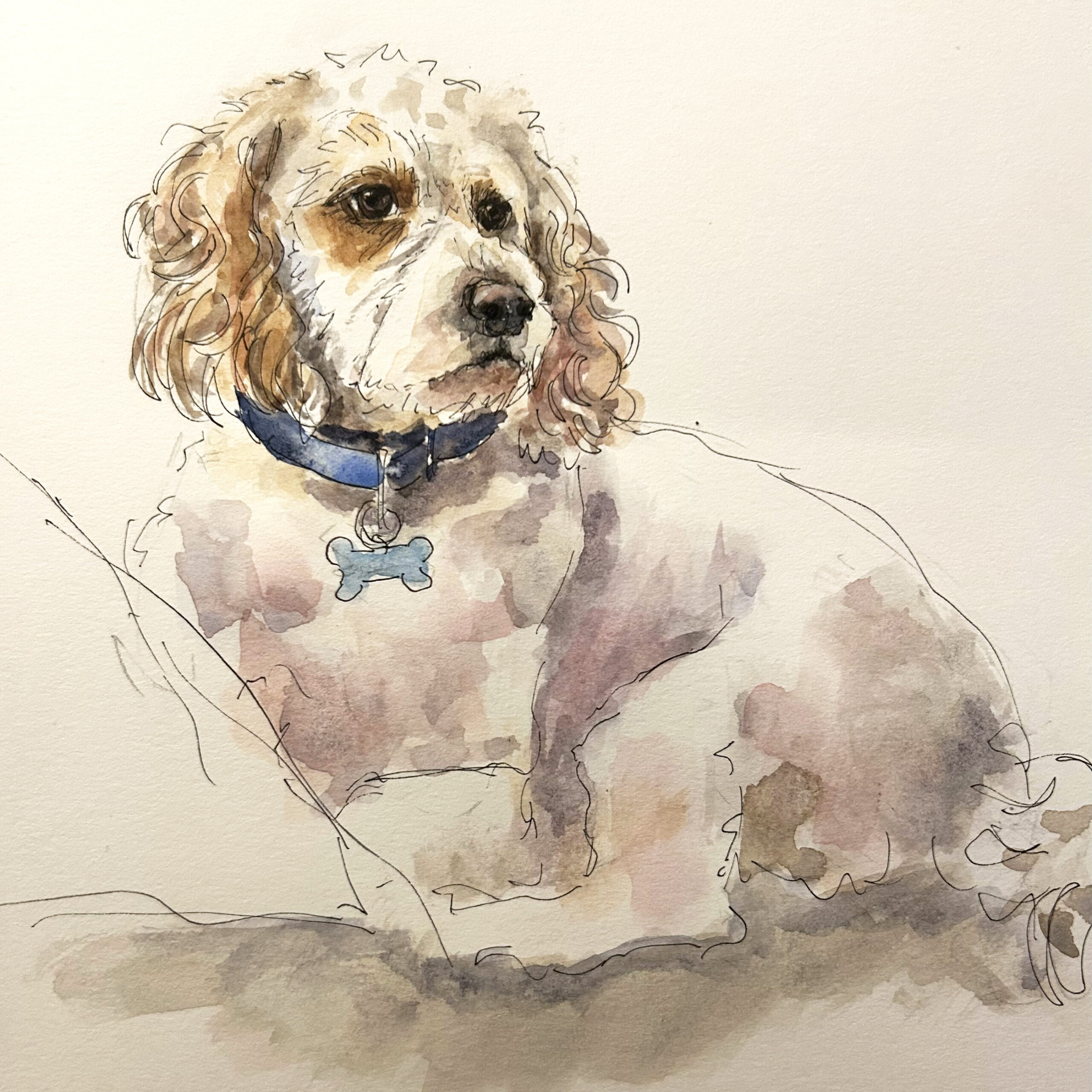Pet Sketch Workshop for Adults with Sharon Domenico —Friday, February 20